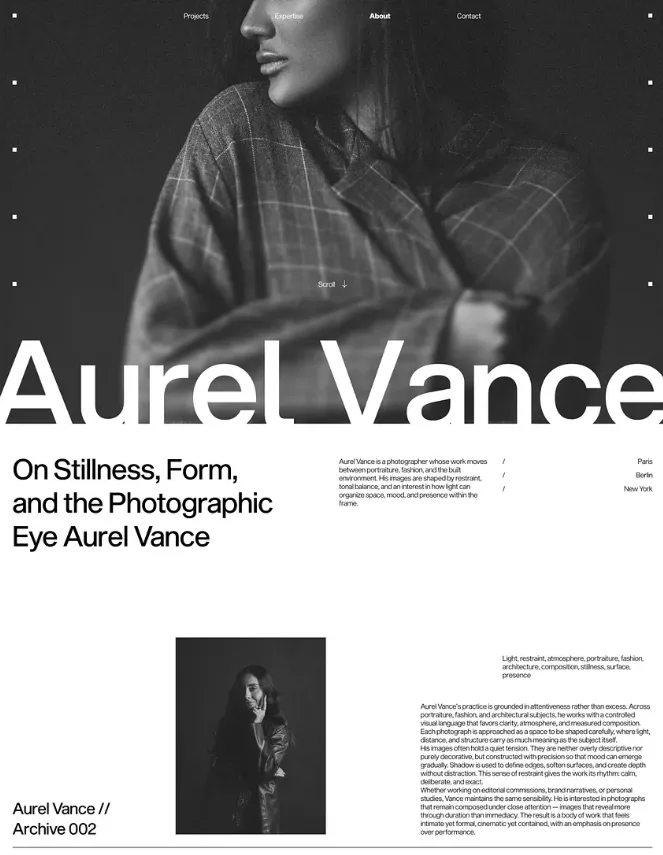 Website design example 3